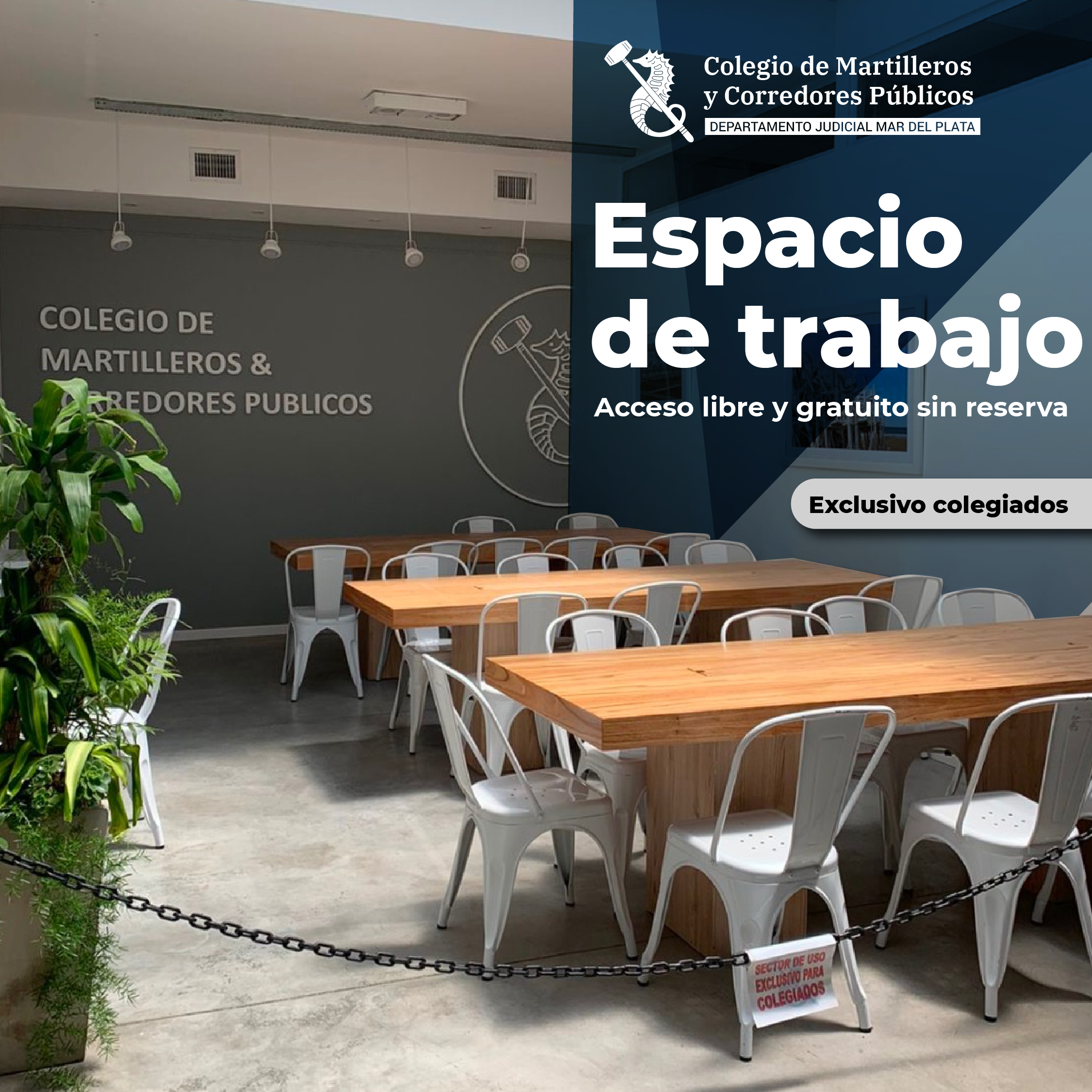 Espacio de trabajo y salas habilitadas